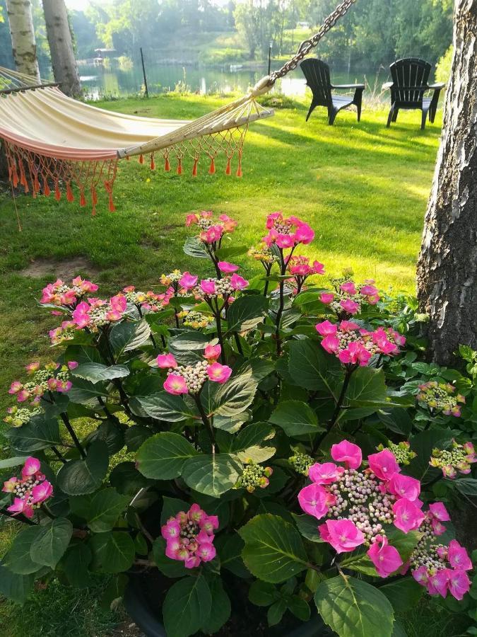 Eden Bed & Breakfast