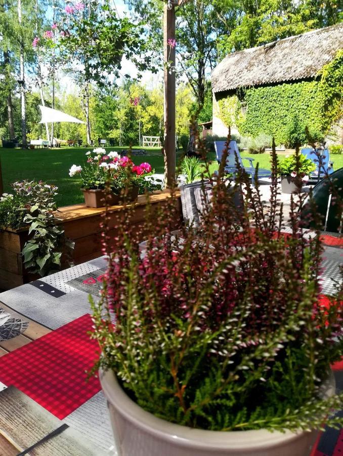 Bed and breakfast Eden
